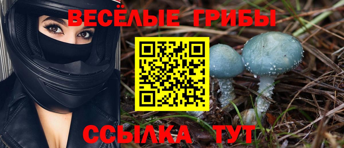 Галлюциногенные грибы мухоморы Сатка