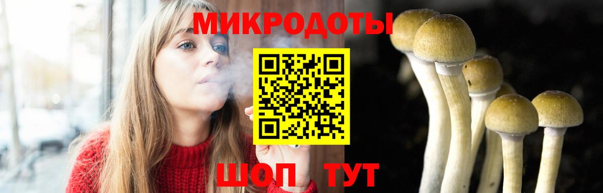 Псилоцибиновые грибы Psilocybe  Вход с VPN  Сатка 